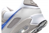 AIR MAX 90 COLLEGE GREY RACER BLUE [DM0029-110]