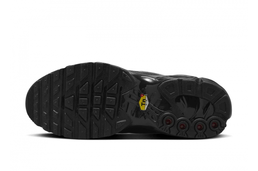 AIR MAX PLUS TIEMPO BLACK WHITE [HF0074-001]